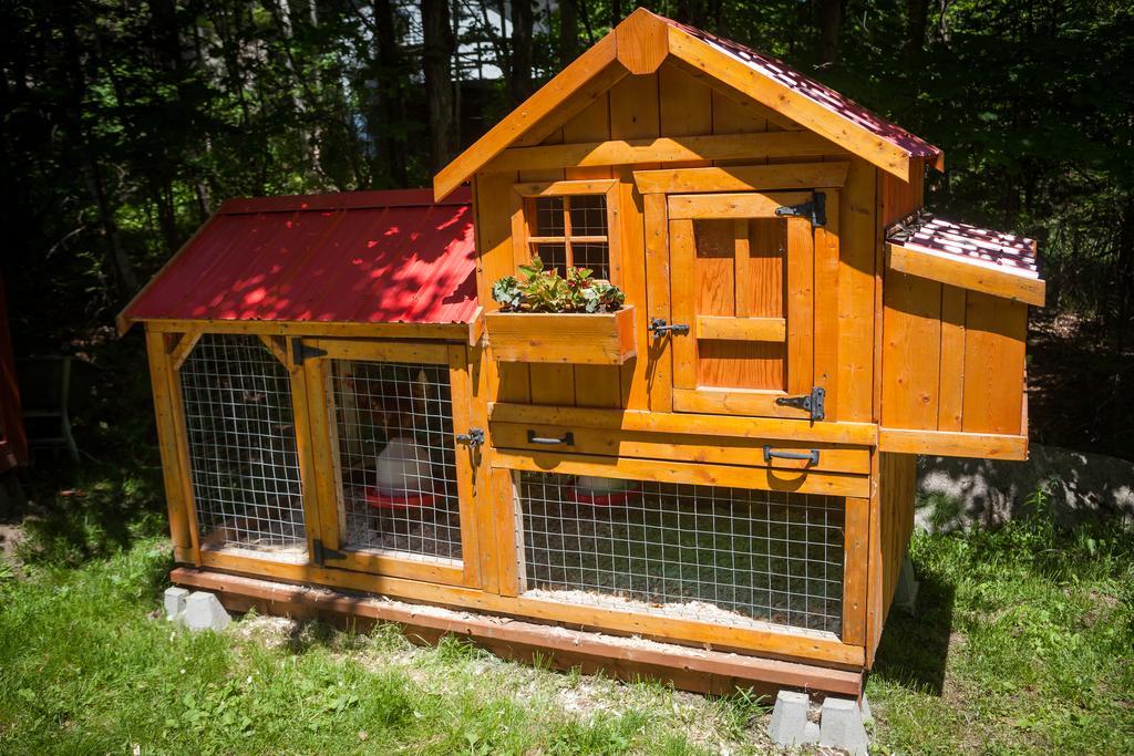 La Chaumiere De L'Anse Bed and Breakfast Mont-Tremblant Buitenkant foto