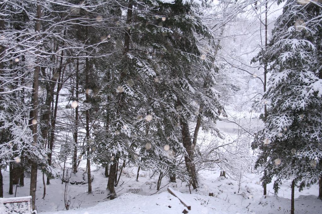 La Chaumiere De L'Anse Bed and Breakfast Mont-Tremblant Buitenkant foto