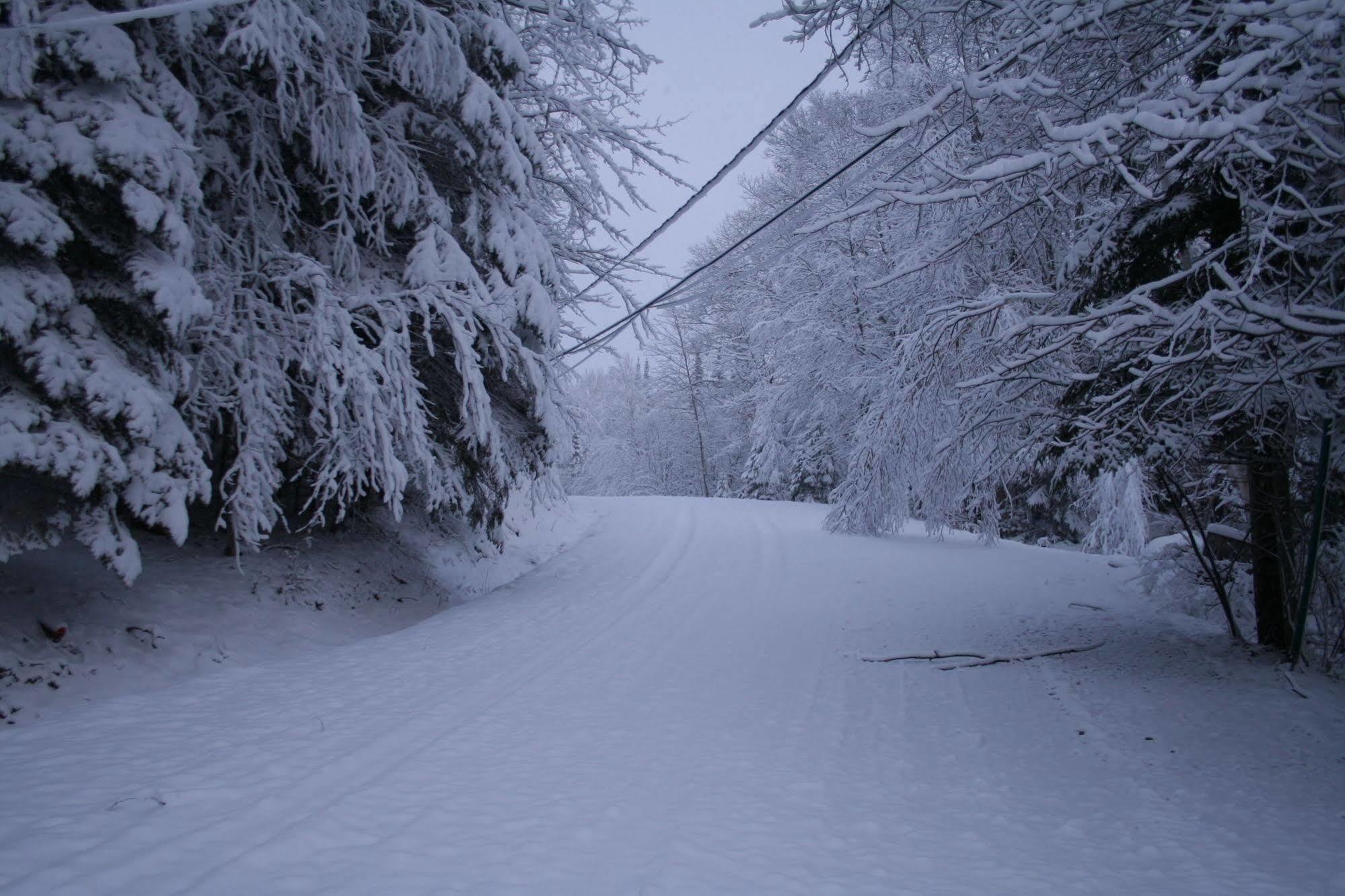La Chaumiere De L'Anse Bed and Breakfast Mont-Tremblant Buitenkant foto